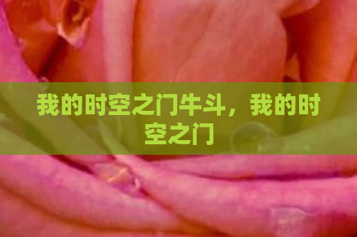 我的时空之门牛斗，我的时空之门