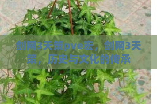 剑网3天策pve宏，剑网3天策，历史与文化的传承