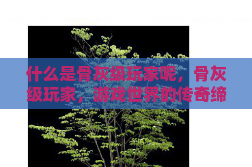 什么是骨灰级玩家呢，骨灰级玩家，游戏世界的传奇缔造者
