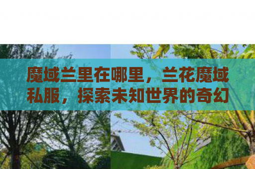 魔域兰里在哪里，兰花魔域私服，探索未知世界的奇幻之旅