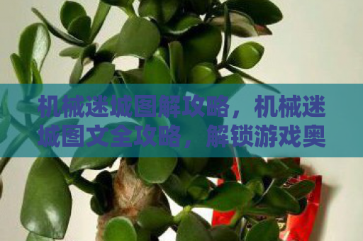 机械迷城图解攻略，机械迷城图文全攻略，解锁游戏奥秘，助你轻松通关