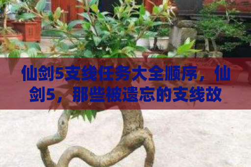 仙剑5支线任务大全顺序，仙剑5，那些被遗忘的支线故事