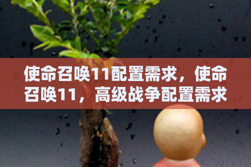 使命召唤11配置需求，使命召唤11，高级战争配置需求详解