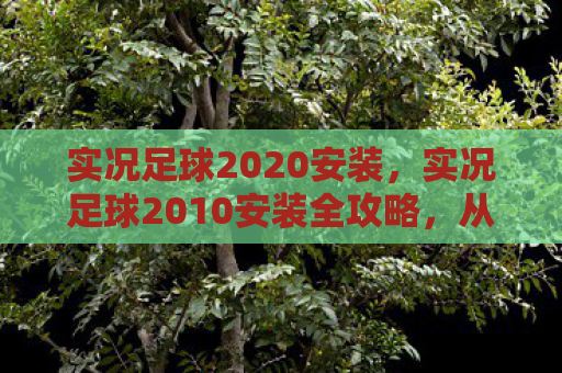 实况足球2020安装，实况足球2010安装全攻略，从下载到畅玩的每一步