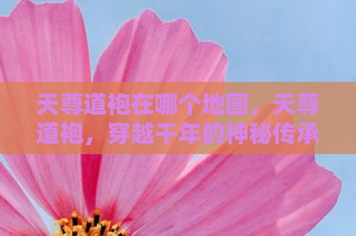 天尊道袍在哪个地图，天尊道袍，穿越千年的神秘传承