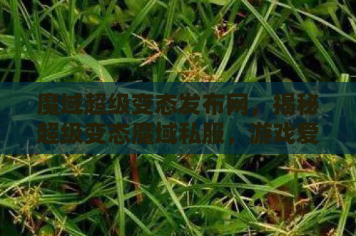 魔域超级变态发布网，揭秘超级变态魔域私服，游戏爱好者的另类选择