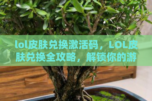 lol皮肤兑换激活码，LOL皮肤兑换全攻略，解锁你的游戏新体验