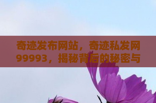 奇迹发布网站，奇迹私发网99993，揭秘背后的秘密与风险