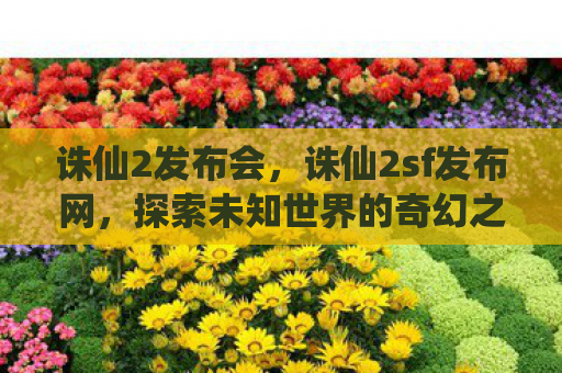 诛仙2发布会，诛仙2sf发布网，探索未知世界的奇幻之旅