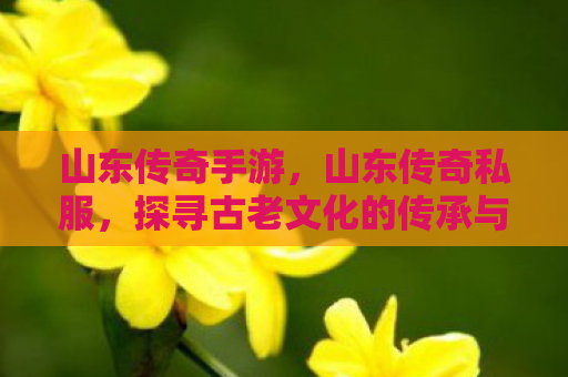 山东传奇手游，山东传奇私服，探寻古老文化的传承与变迁