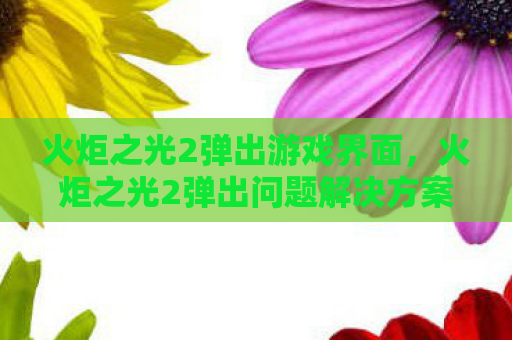 火炬之光2弹出游戏界面，火炬之光2弹出问题解决方案