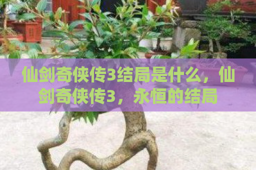 仙剑奇侠传3结局是什么，仙剑奇侠传3，永恒的结局