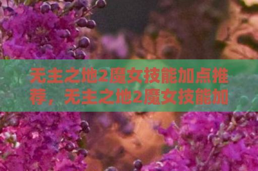 无主之地2魔女技能加点推荐，无主之地2魔女技能加点指南，打造最强魔女