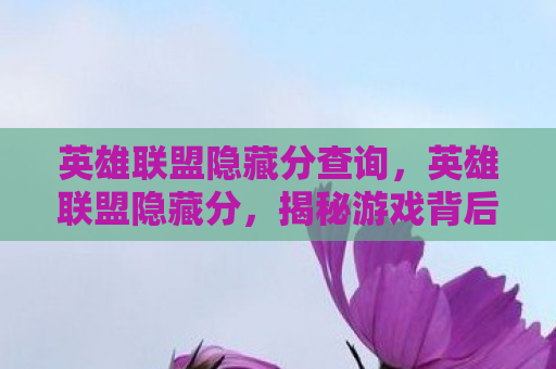 英雄联盟隐藏分查询，英雄联盟隐藏分，揭秘游戏背后的神秘机制