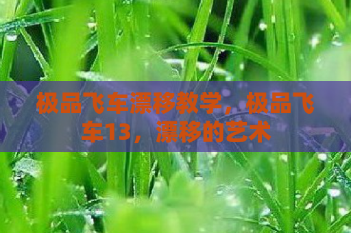 极品飞车漂移教学，极品飞车13，漂移的艺术