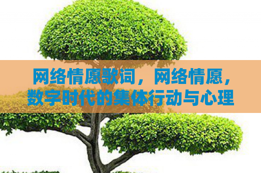 网络情愿歌词，网络情愿，数字时代的集体行动与心理机制