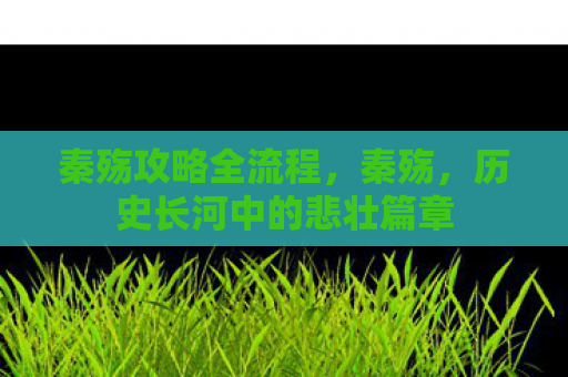 秦殇攻略全流程，秦殇，历史长河中的悲壮篇章
