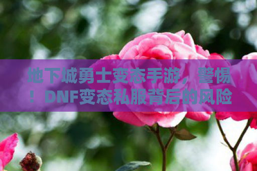 地下城勇士变态手游，警惕！DNF变态私服背后的风险与危害