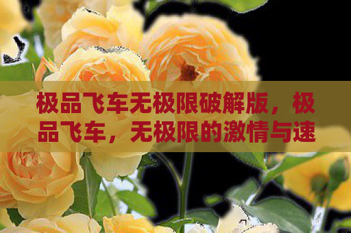 极品飞车无极限破解版，极品飞车，无极限的激情与速度