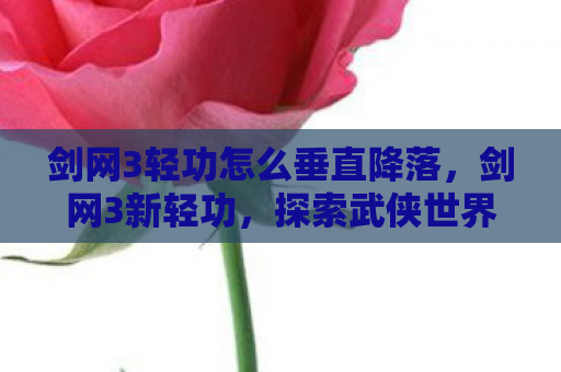 剑网3轻功怎么垂直降落，剑网3新轻功，探索武侠世界的全新高度