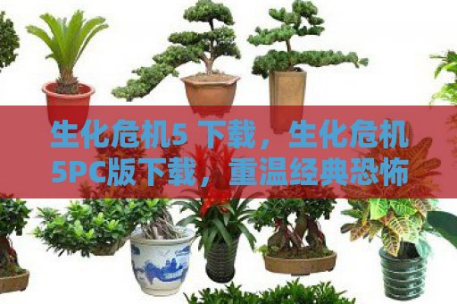 生化危机5 下载，生化危机5PC版下载，重温经典恐怖之旅