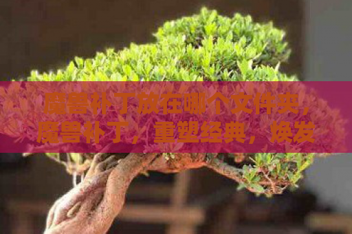 魔兽补丁放在哪个文件夹，魔兽补丁，重塑经典，焕发新生