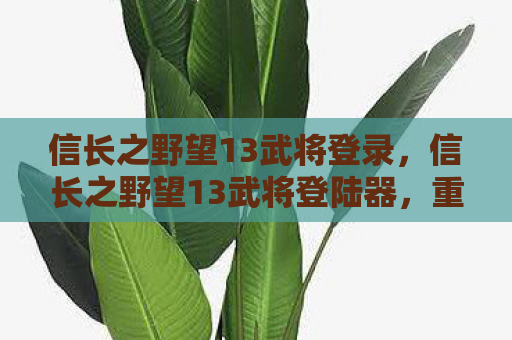 信长之野望13武将登录，信长之野望13武将登陆器，重塑历史战场的传奇