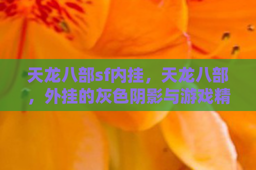 天龙八部sf内挂，天龙八部，外挂的灰色阴影与游戏精神的探讨