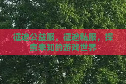 征途公益服，征途私服，探索未知的游戏世界