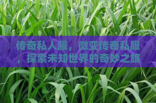 传奇私人服，微变传奇私服，探索未知世界的奇妙之旅