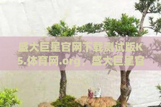 盛大巨星官网下载测试版K5.体育网.org，盛大巨星官网下载全解析，安全、便捷、高效的娱乐新体验