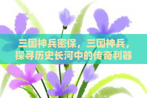 三国神兵密保，三国神兵，探寻历史长河中的传奇利器