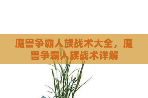 魔兽争霸人族战术大全，魔兽争霸人族战术详解