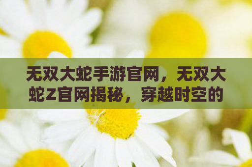 无双大蛇手游官网，无双大蛇Z官网揭秘，穿越时空的史诗战斗