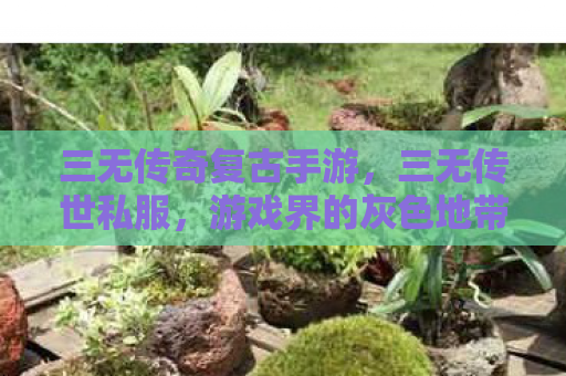 三无传奇复古手游，三无传世私服，游戏界的灰色地带