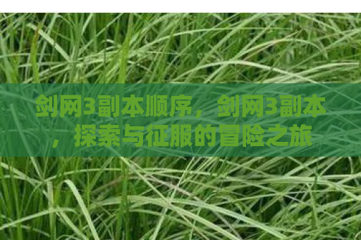 剑网3副本顺序，剑网3副本，探索与征服的冒险之旅