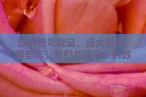 盛大账号找回，盛大账号，那些年，我们共同守护的数字遗产