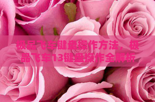 极品飞车键盘操作方法，极品飞车13键盘操作全解析