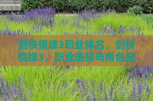 剑侠情缘3职业排名，剑侠情缘3，职业选择与角色定位