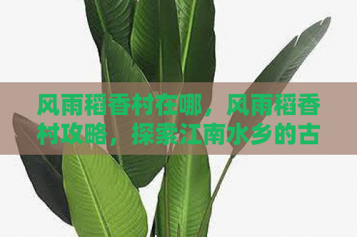 风雨稻香村在哪，风雨稻香村攻略，探索江南水乡的古韵与风情