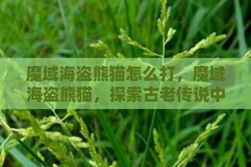 魔域海盗熊猫怎么打，魔域海盗熊猫，探索古老传说中的神秘生物