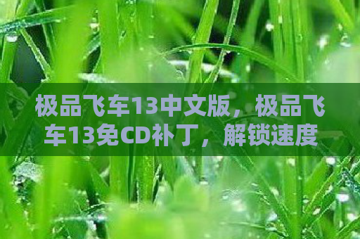 极品飞车13中文版，极品飞车13免CD补丁，解锁速度与激情的钥匙