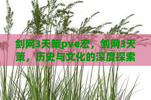 剑网3天策pve宏，剑网3天策，历史与文化的深度探索