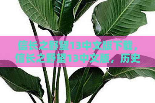 信长之野望13中文版下载，信长之野望13中文版，历史与战略的完美融合