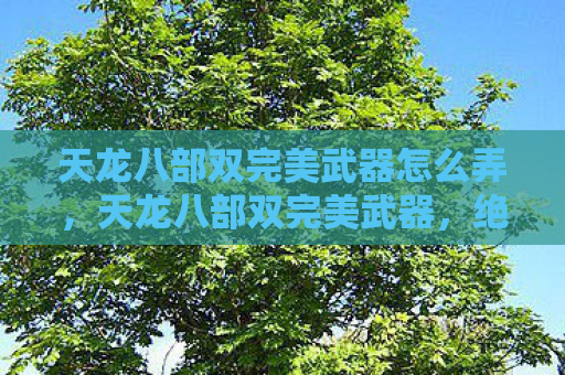 天龙八部双完美武器怎么弄，天龙八部双完美武器，绝世神兵背后的传奇故事