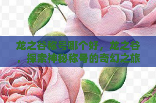 龙之谷称号哪个好，龙之谷，探索神秘称号的奇幻之旅