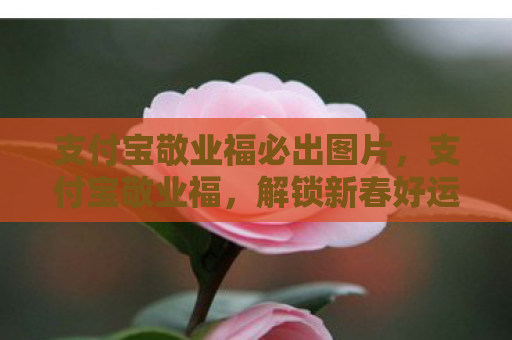 支付宝敬业福必出图片，支付宝敬业福，解锁新春好运的秘籍