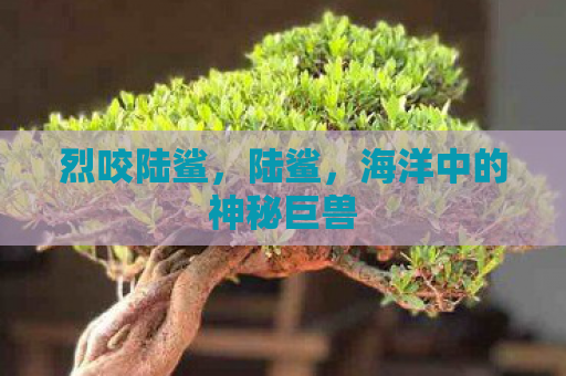 烈咬陆鲨，陆鲨，海洋中的神秘巨兽