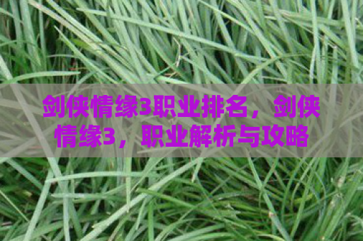 剑侠情缘3职业排名，剑侠情缘3，职业解析与攻略
