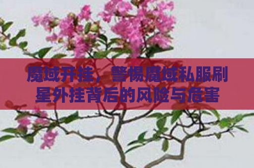 魔域开挂，警惕魔域私服刷星外挂背后的风险与危害